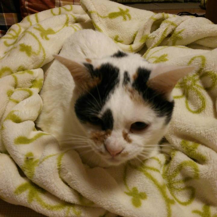 A7866b0b 73e7 49e0 b3c3 6d614f37999b