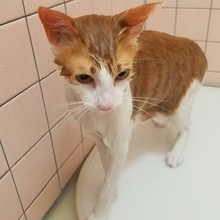 A78683f9 75c6 4679 819a bc667720646a