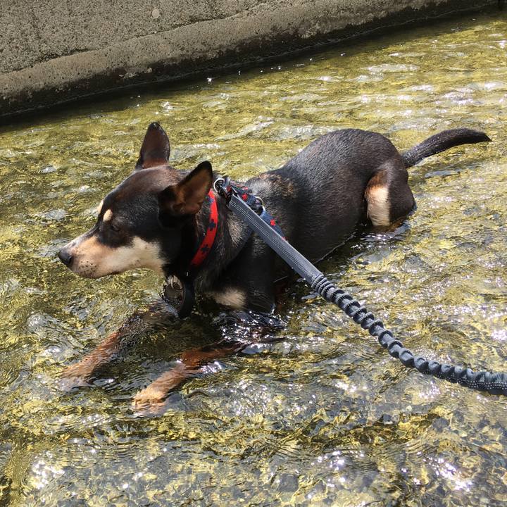 A786d673 10a5 4bd5 ad21 1fc626d87acd