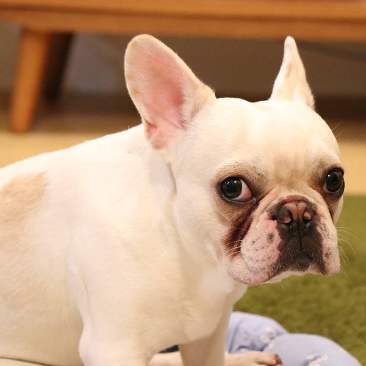 A786ea1b 06f5 4a86 9fb0 762e5093f355