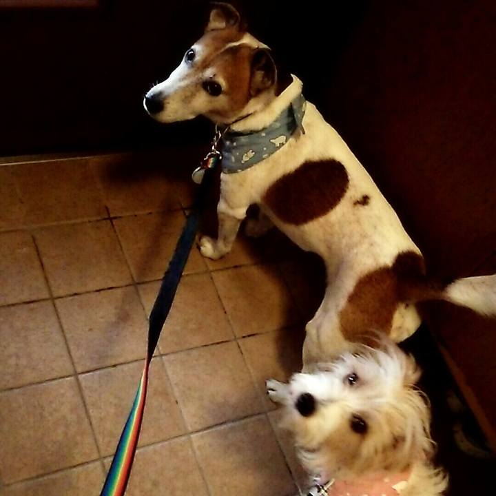 A7872364 98af 46bf 85d8 2736a9aac64d