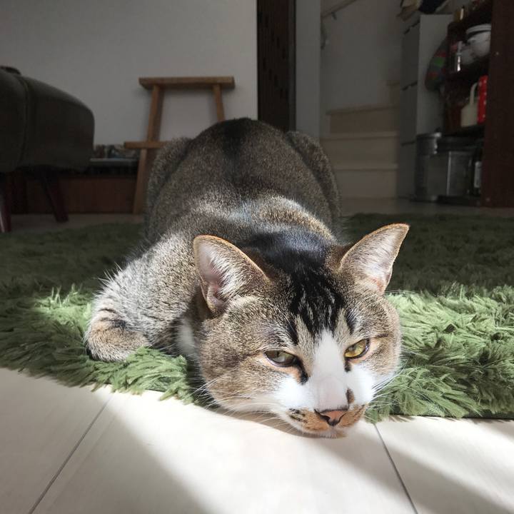 A7878980 e49a 41d5 b4d1 3efc8b71fee0