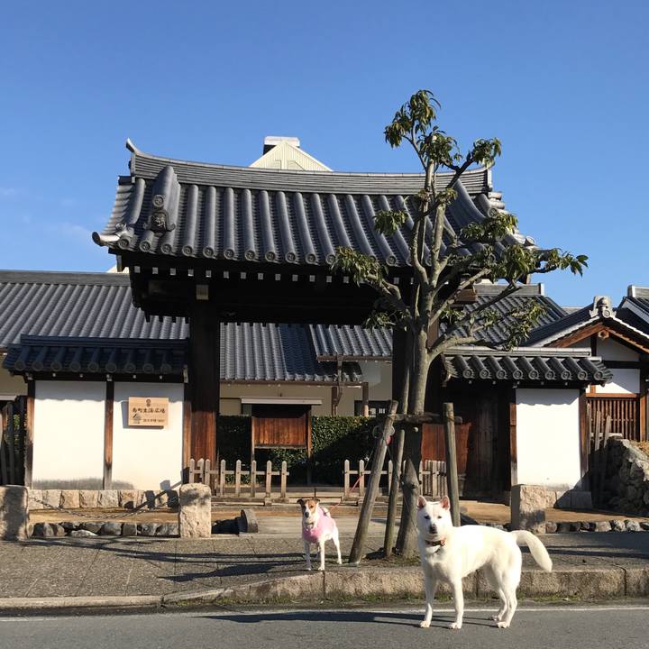 A787ae28 8a6f 4820 96ff 2c330e378683