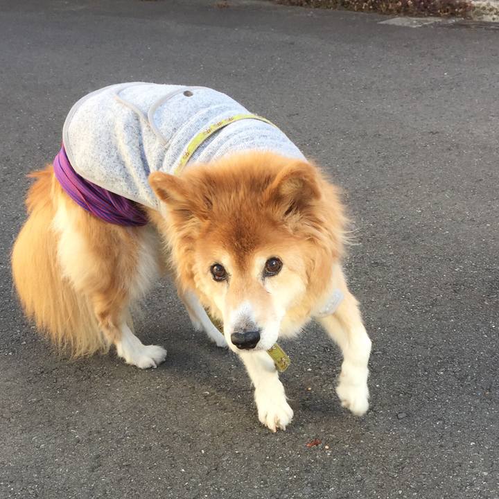 A787df13 5eec 4208 b2b2 10df143133ed