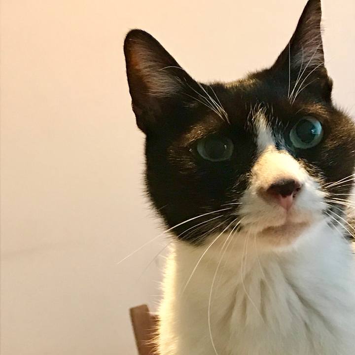 A787e171 6380 45ae a427 f515715a9f9a