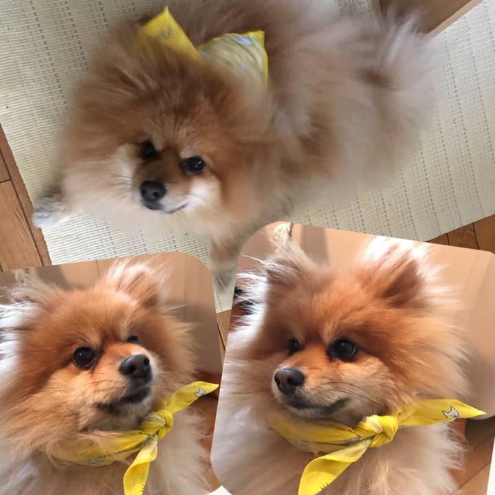 A787efd5 8515 44dc 8f01 3b7b4cb0f2f6