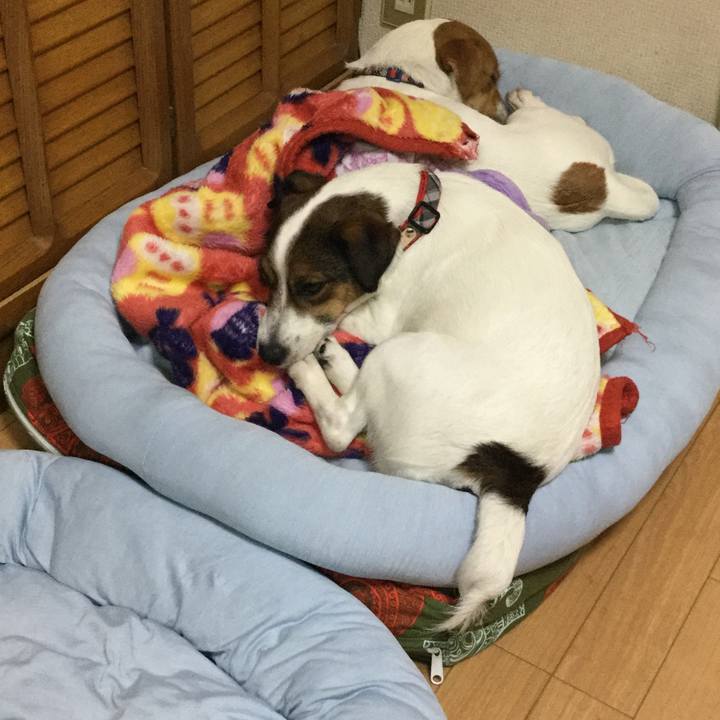 A7884136 9dc6 43f1 a95b 8178f540e0f1