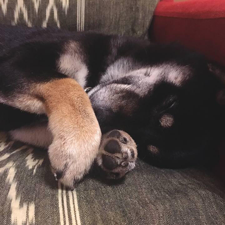 A788435a c985 4190 bb14 3443243f5f1d