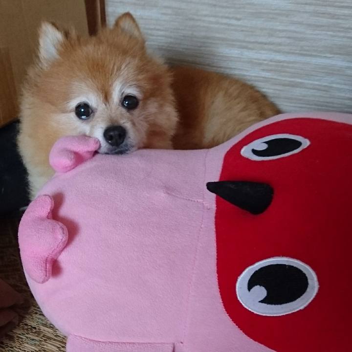 A7884e81 a14d 4262 806f e6dba6887d98