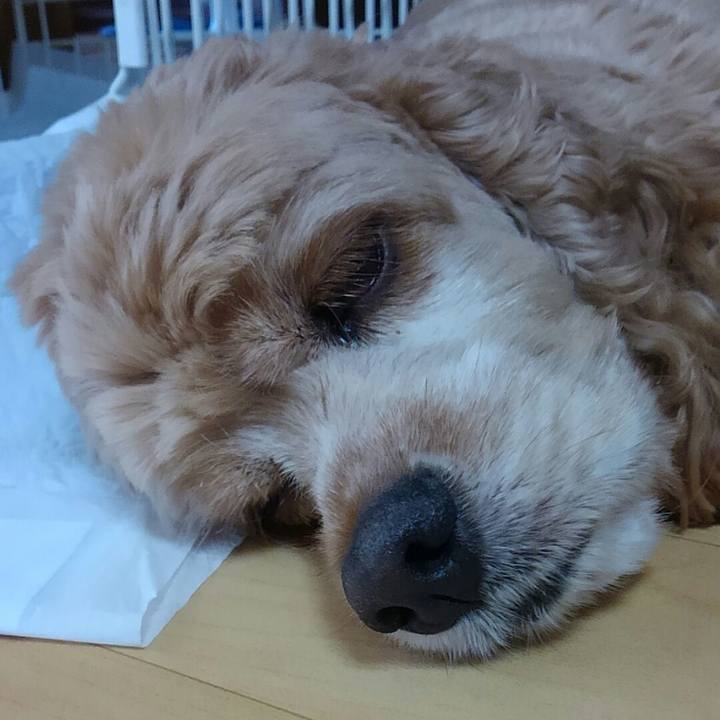 A788579e 0431 4adb 848d 771e4c20eb0e