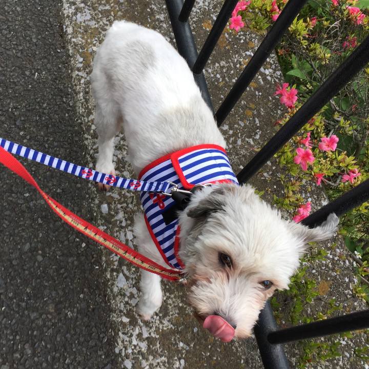 A78877fd 7709 410e af8c 0781c9ba60b4