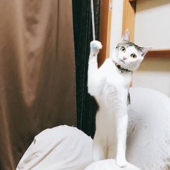 A7893f0e 8ddb 4d4b 9d2f 6979ccaaf6e1