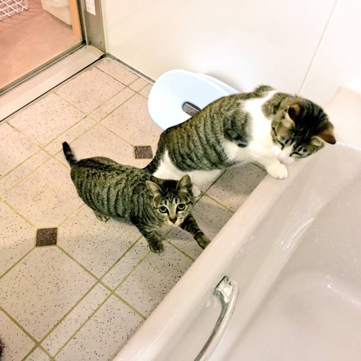 A789a596 255b 4f6b 80ef d4ddb225ca67