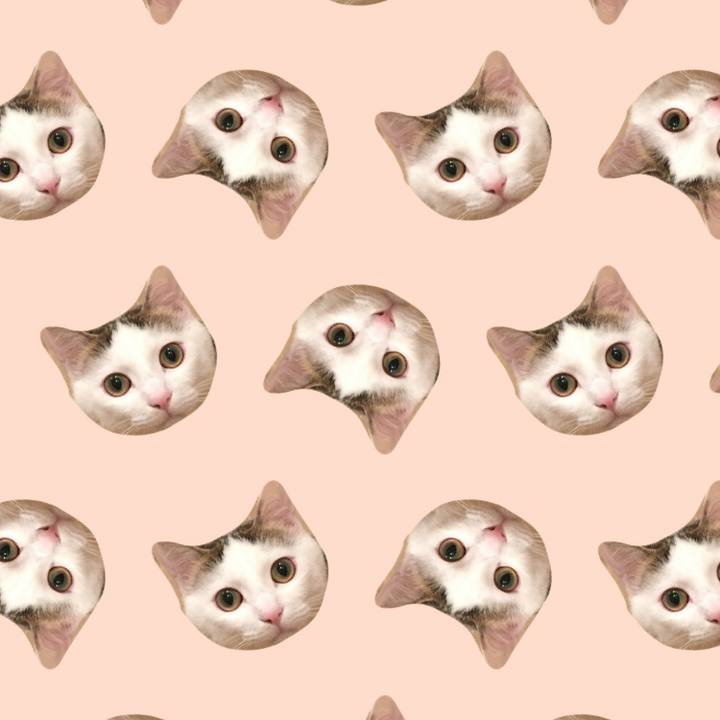 A789d246 d6e4 420f 89c6 35d1d55ef0a3