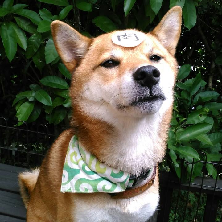 A78a2f96 6c7d 4009 8c56 cf7534029635