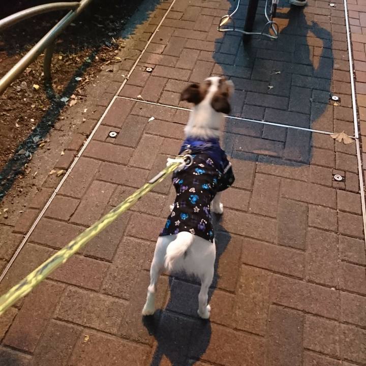 A78b65e0 a904 466e 8ff4 0dd701f3e1fd