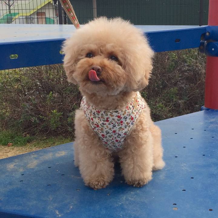 A78bc6ba 7c4f 4ba3 a794 2eaa3bc0de82