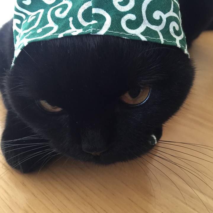 A78bd228 24ed 4b46 9e2a 9a02903fe2ae