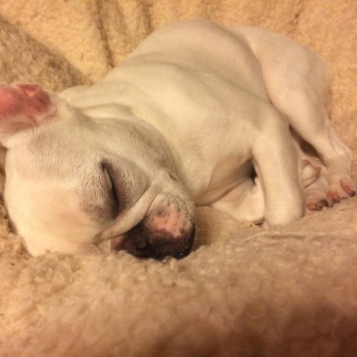 A78cfe70 25d5 4cbd a3a7 69c4ae6b8f96