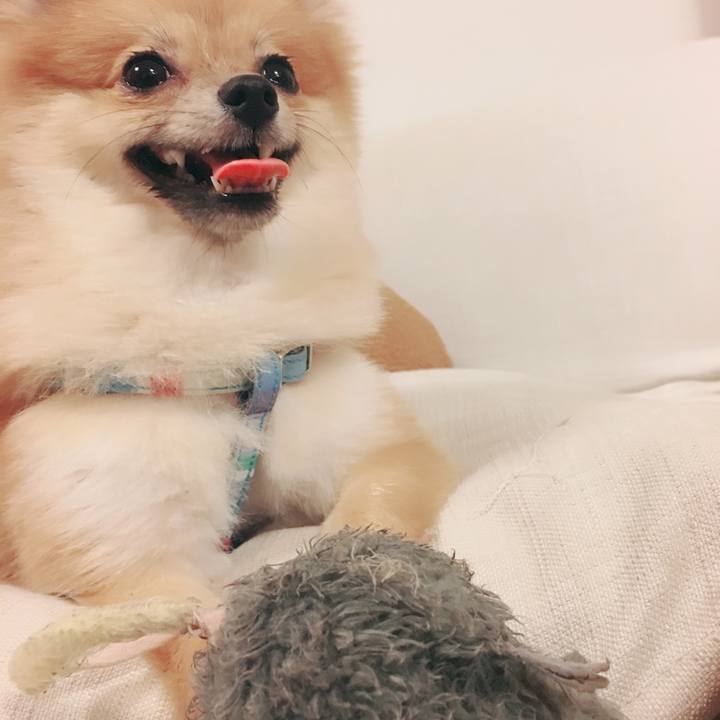 A78d5ffc 01f9 4164 8785 3eac3570440c