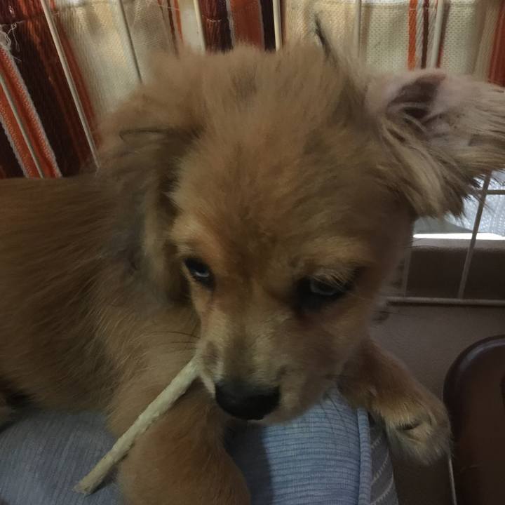 A78d7b65 cba2 4f80 9342 287f9f1d526d