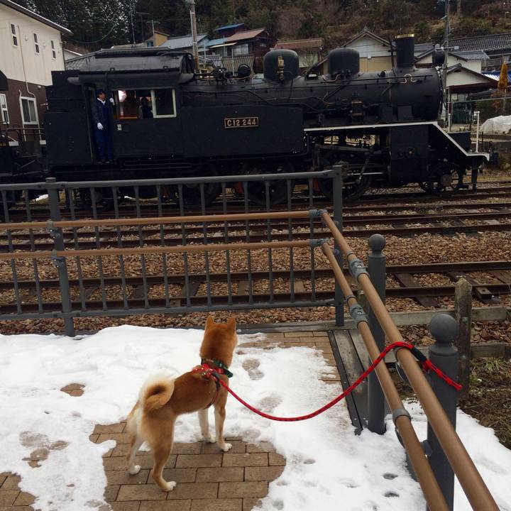 A78d7ff0 1c86 43c9 8cbb ac6b8f1b0077