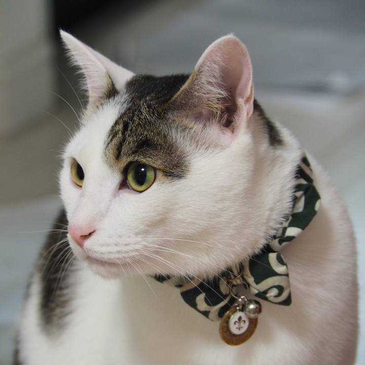 A78d9871 1980 4aa6 982f fd9d133a77c9