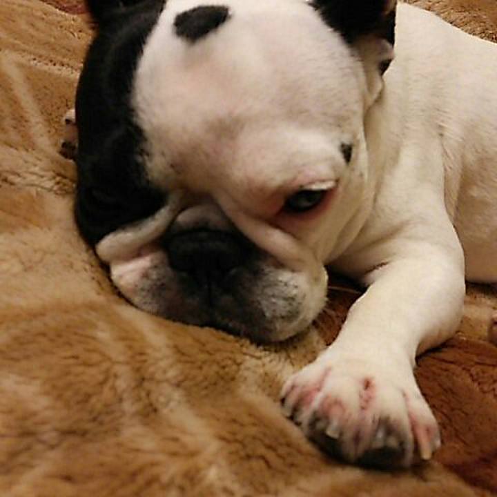 A78dec60 ee06 4e43 9f0f b90fea8ad81e