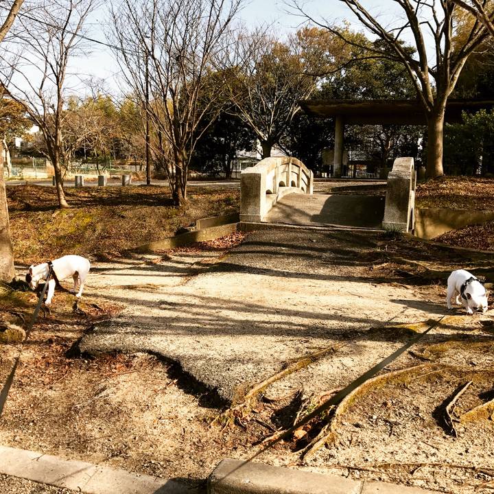 A78e4389 ee54 4d3a acd2 4aea6ba18309