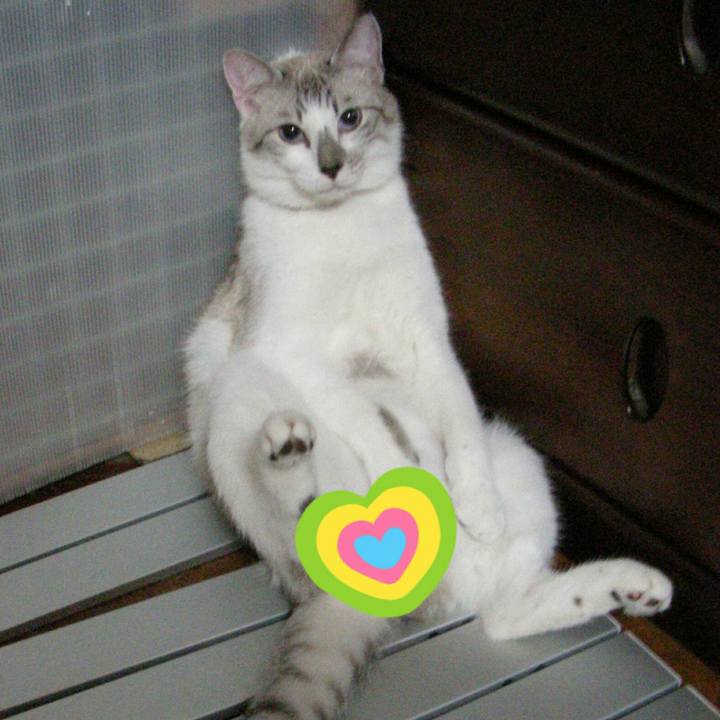 A78e6b24 3d7d 4dde 9217 89f5308bfdbe