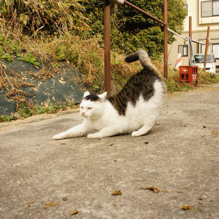 A78e8ab6 d8ad 44df a77a d1614ed75c36