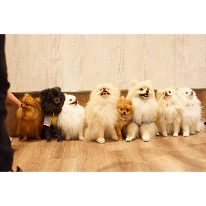 A78ec370 36e7 4ac2 910f ca0974e579d4