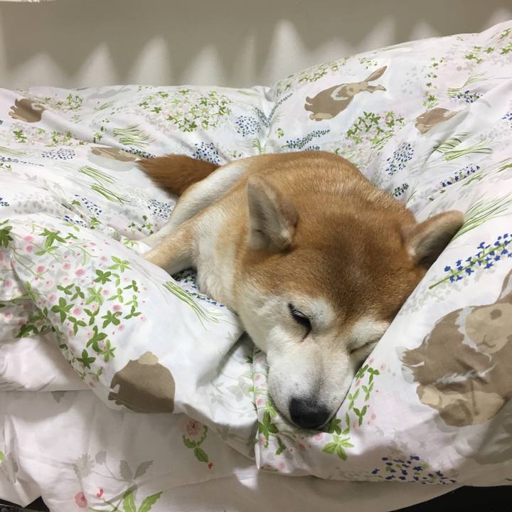 A78f315f ae91 4379 8931 de4de62e7b0f