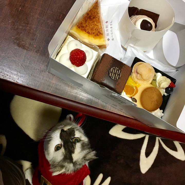 A78f3d6d 7415 4701 8633 3ba5596b5306