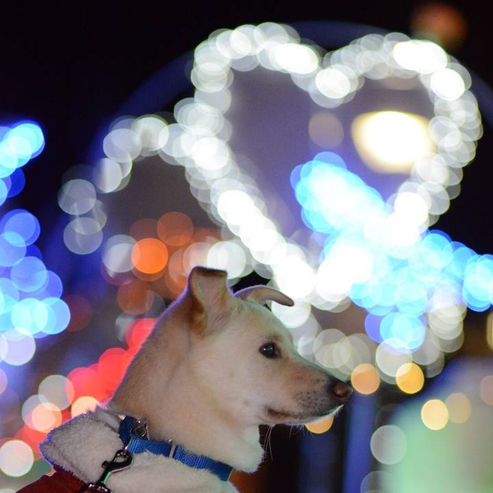 A78f802e 53aa 4057 8842 0d2ee9863e2e