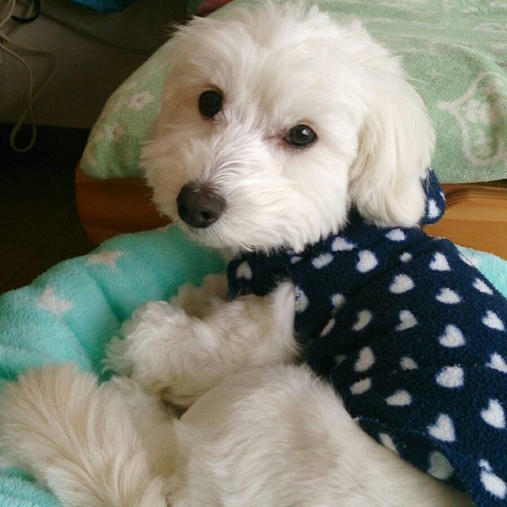 A78fef08 6bf5 454b a0b9 dec3b8eddd1e