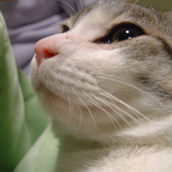 A7910898 ede7 4ec5 9540 e27f6ac5b469