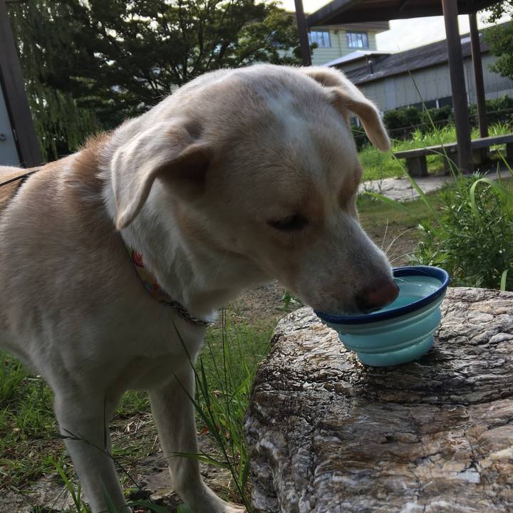 A79165a1 e39b 4552 beeb 790ff155ce7d