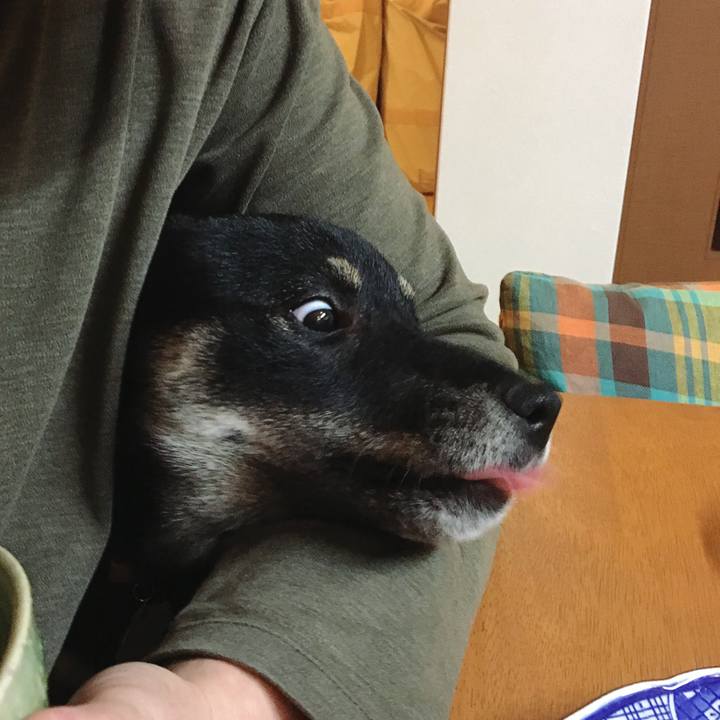 A79175f5 1eeb 48b1 9b74 6c1e4929b982