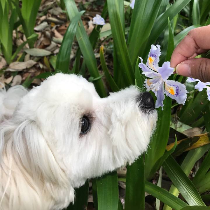 A7918987 5465 4b04 841b 1691444e000a