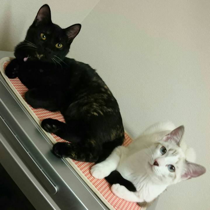 A792ee10 5634 4d9d 97ff f48b48f59f81