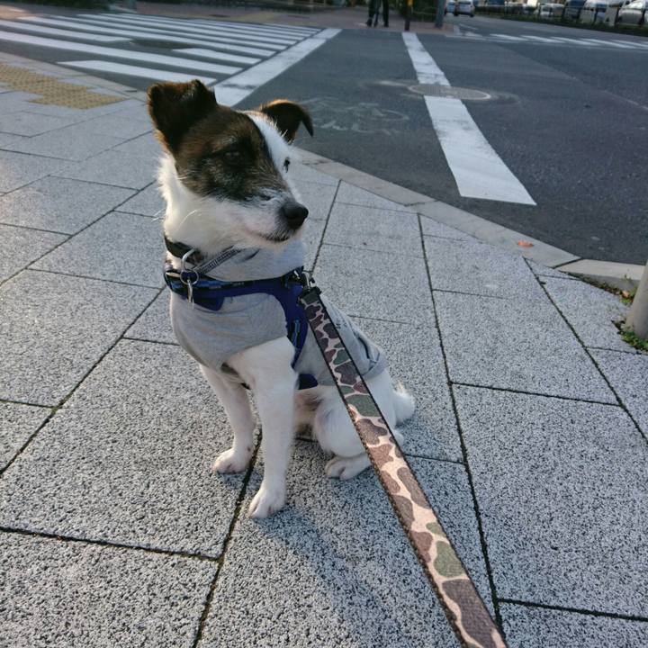 A792fffe bbd9 464b 8596 765f54e7f386