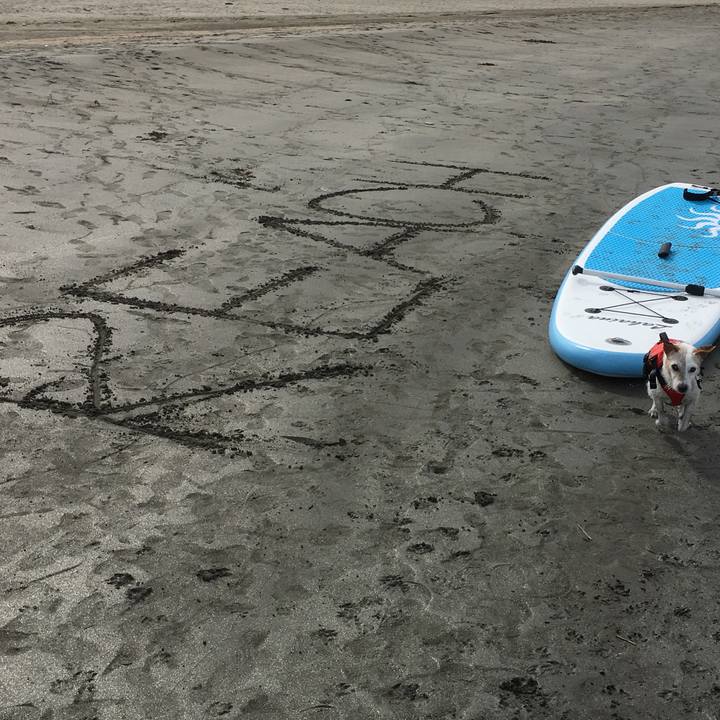 A7939126 a926 471b ac9d 4f92ff4e3b90