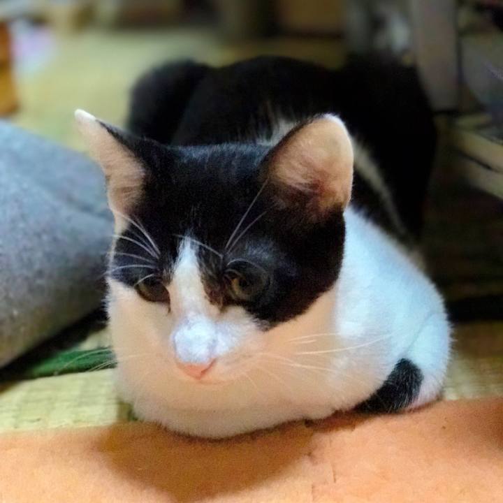 A793a6be 5dfe 4184 90c9 e996c1d15c18