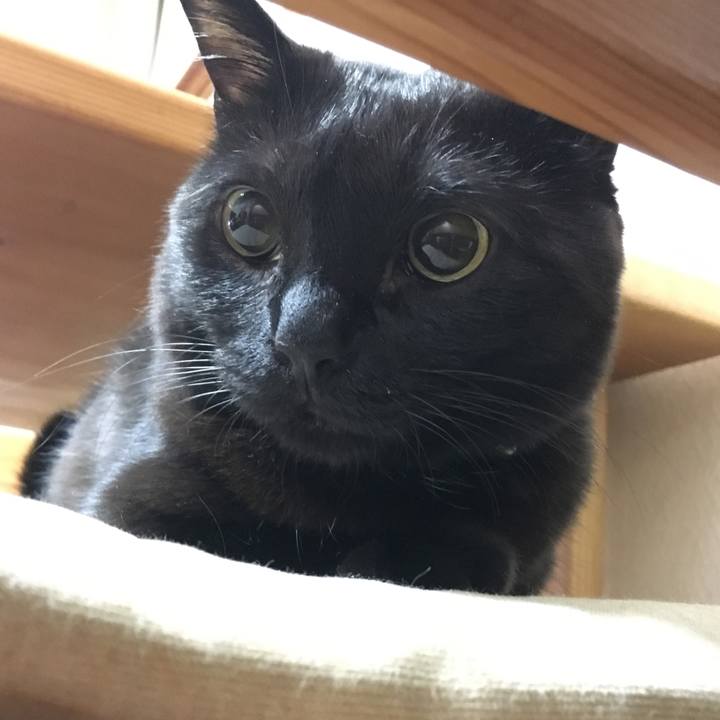 A79425a6 0eb4 427a aad8 e9971f8277a9