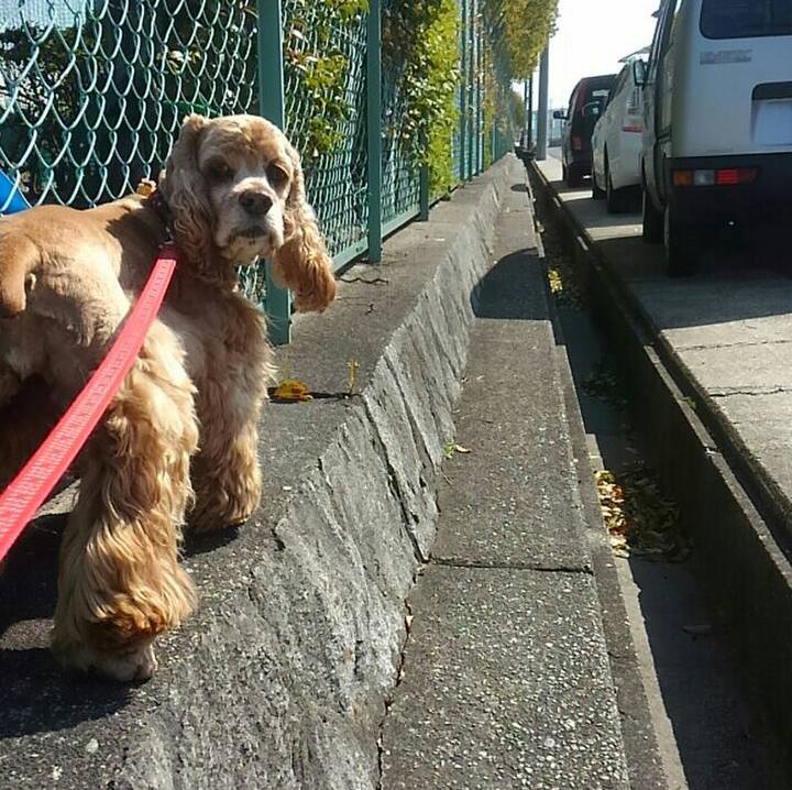 A79564f7 8446 4b69 93ca 4e16ed9587fa