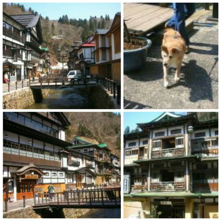 A7958957 58d0 4c0f 8399 84dd6345d1c0