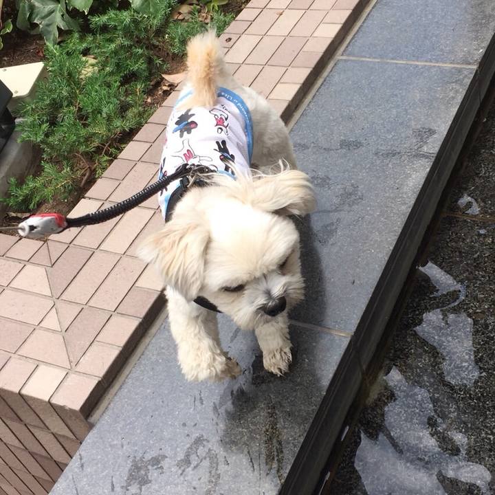 A795bd85 fd06 4996 aa9a 34ba5326b537