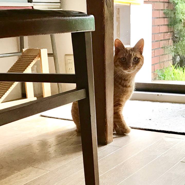 A796e1bc 611c 4ad7 8e66 10b6b32f8c66