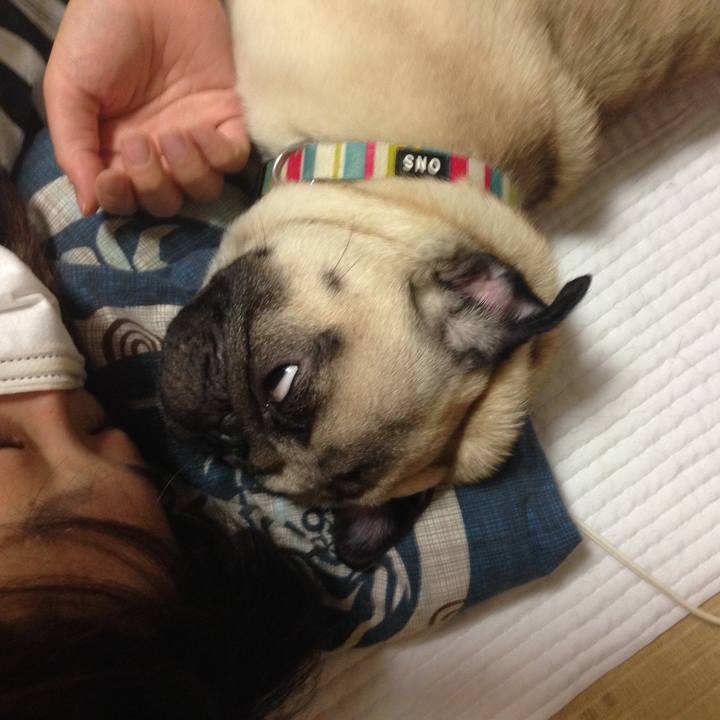 A796e37b 3b43 4b96 a986 66583ab99c43